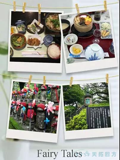 十五周年活動(dòng)月 | 天拓四方代表團赴日考察
